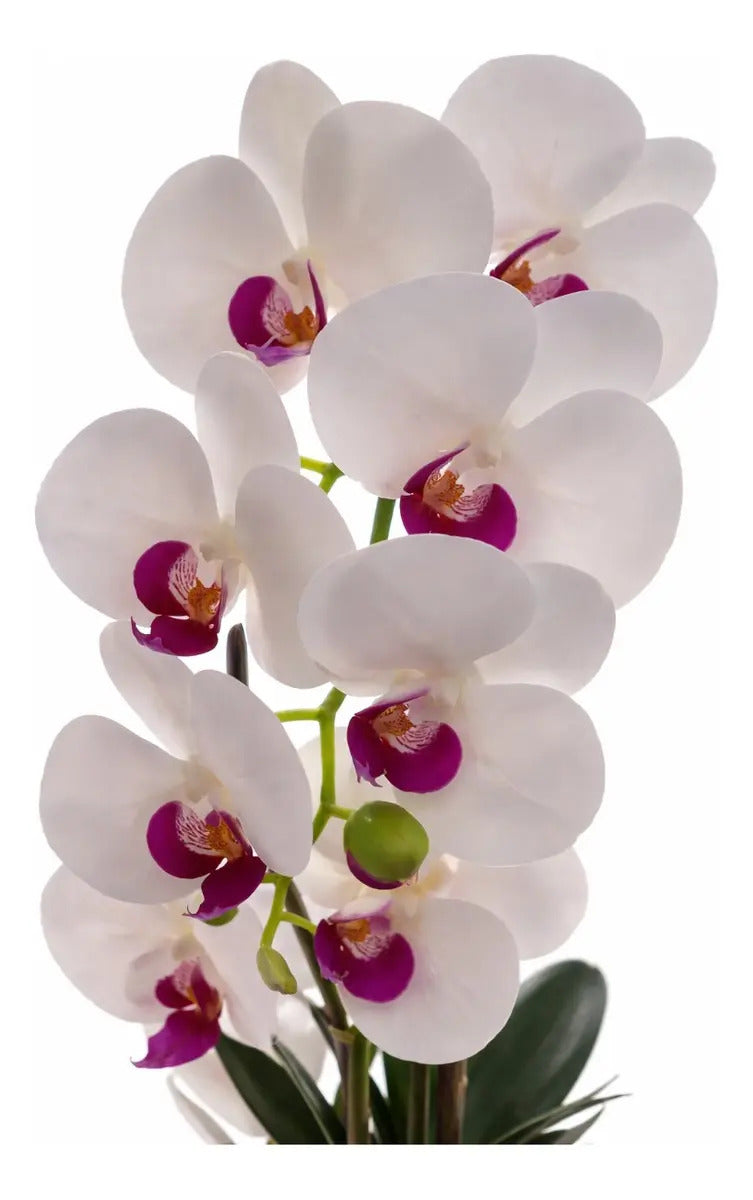 Orquídea Phalaenopsis Artificial En Maceta Blanca 62 Cm