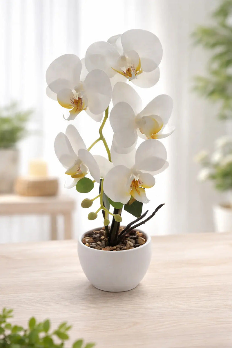 Orquídeas Phalaenopsis Artificiales Arreglo Minimalista 30cm