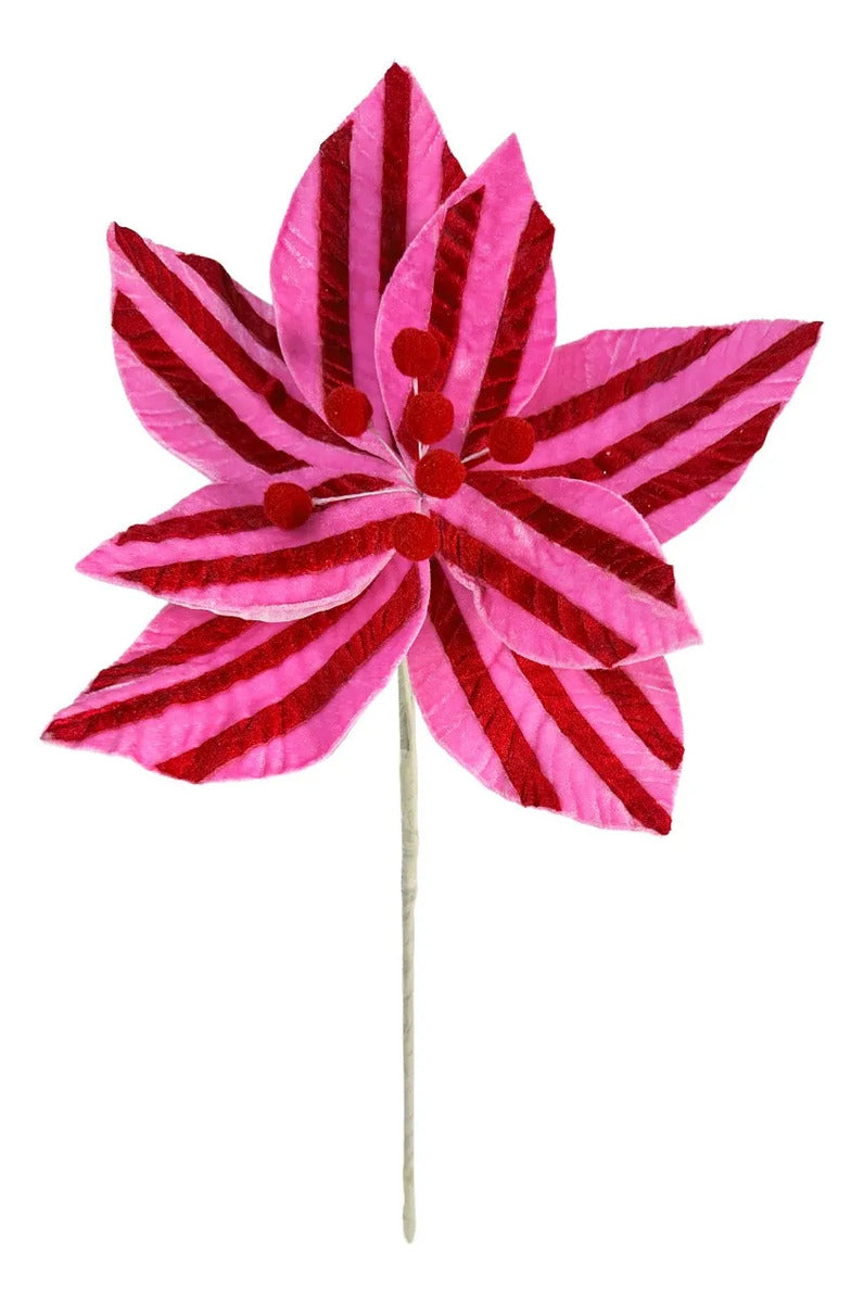 Nochebuena Lluvia Rosa con Rojo Candy Land