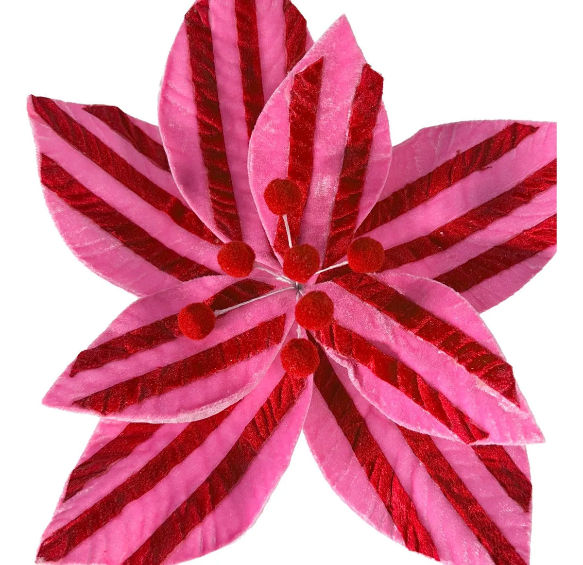 Nochebuena Lluvia Rosa con Rojo Candy Land