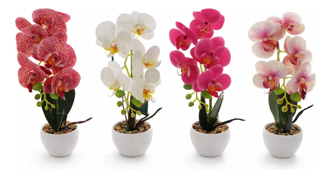 Orquídeas Phalaenopsis Artificiales Arreglo Minimalista 30cm
