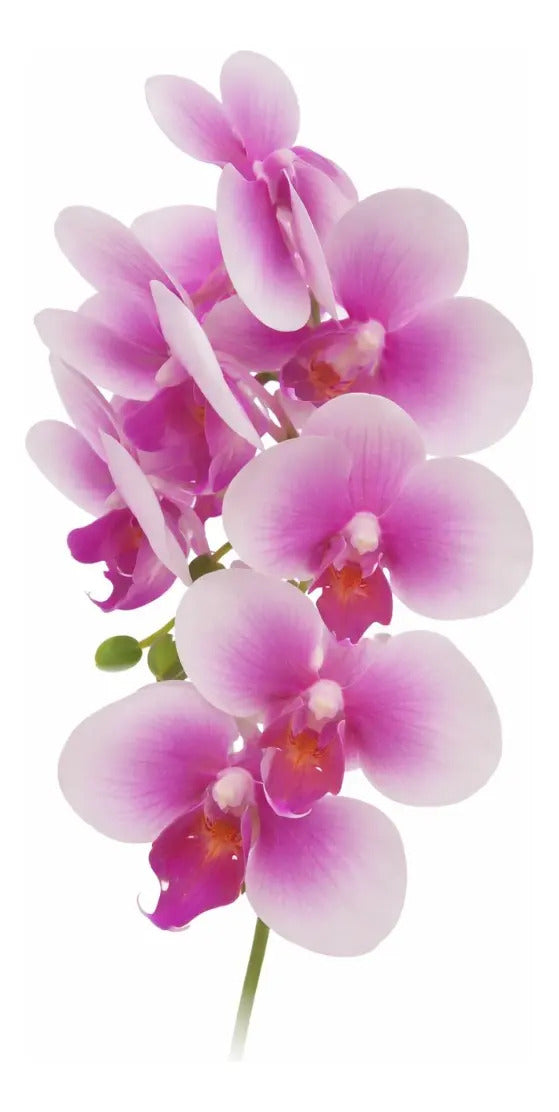 Orquídea Phalaenopsis Artificial En Maceta 3 Colores 42 Cm