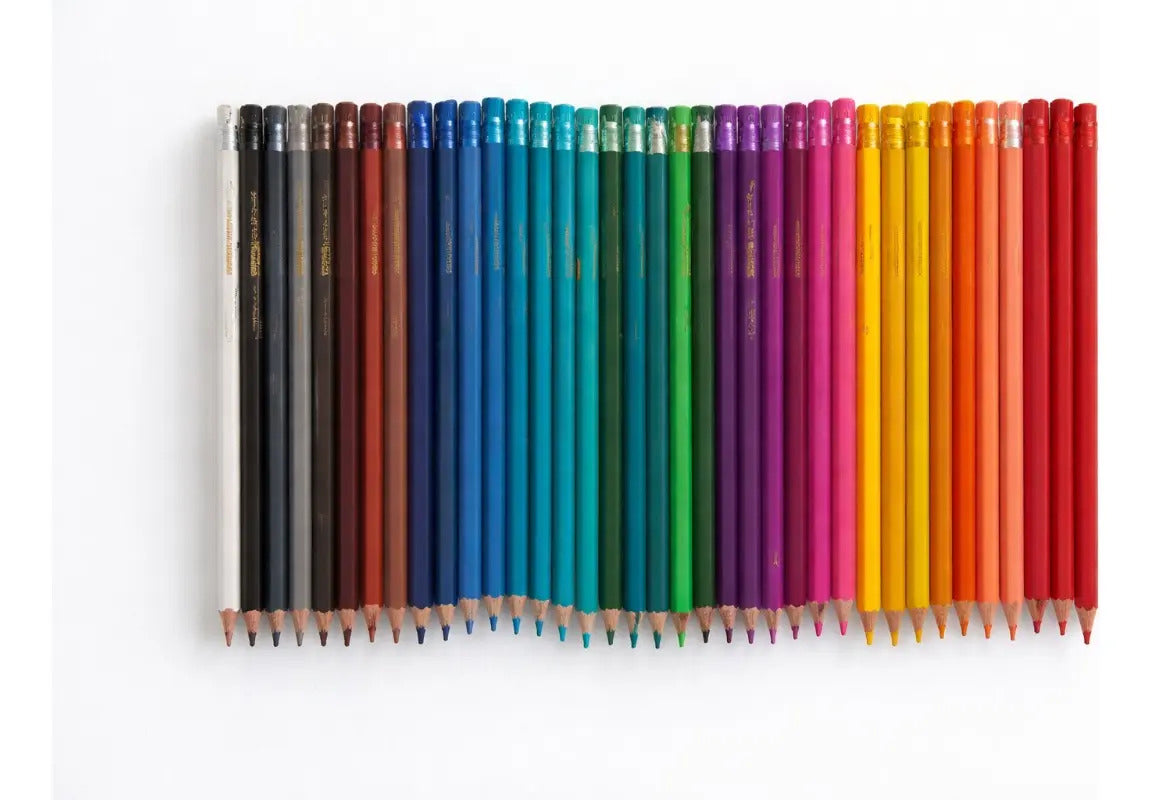 Colores Surimax 36 Piezas  Estuche Cilíndrico Protector