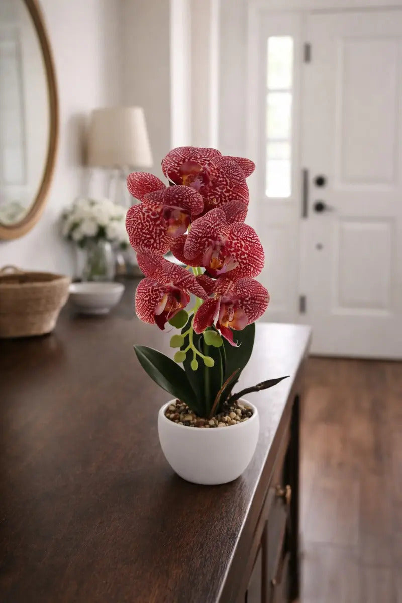 Orquídeas Phalaenopsis Artificiales Arreglo Minimalista 30cm