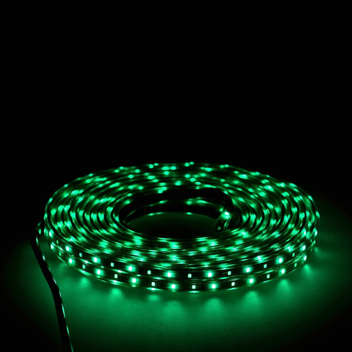 Manguera Led Plana AP Verde Esmeralda Brillante 10 Metros