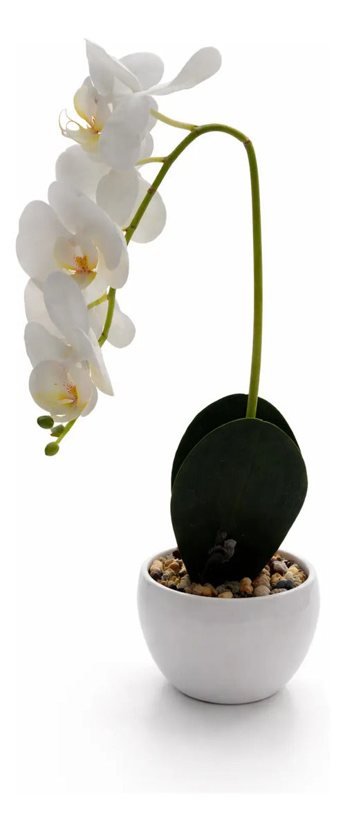 Orquídeas Phalaenopsis Artificiales Arreglo Minimalista 30cm