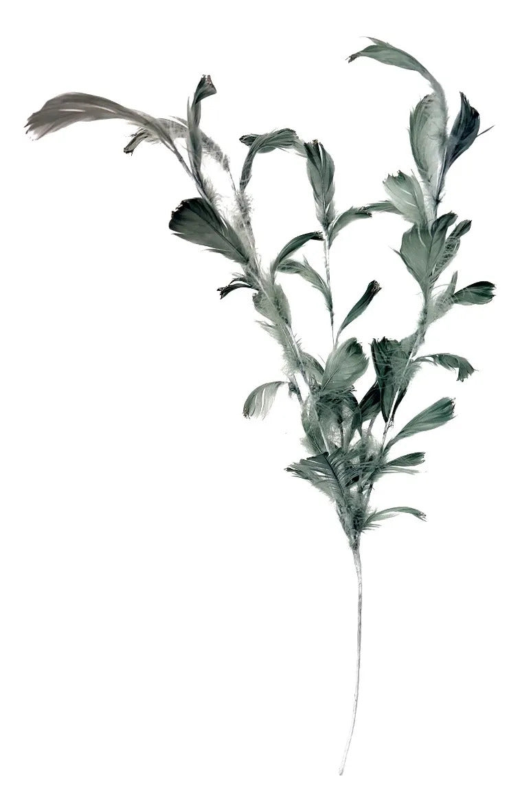 Rama Decorativa Lluvia Verde Salvia con Plumas 60cm
