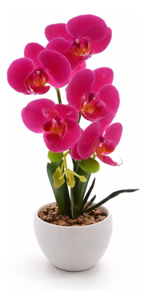Orquídeas Phalaenopsis Artificiales Arreglo Minimalista 30cm