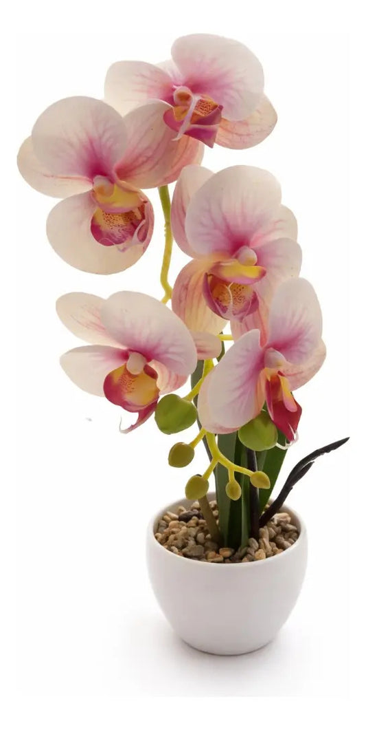 Orquídeas Phalaenopsis Artificiales Arreglo Minimalista 30cm