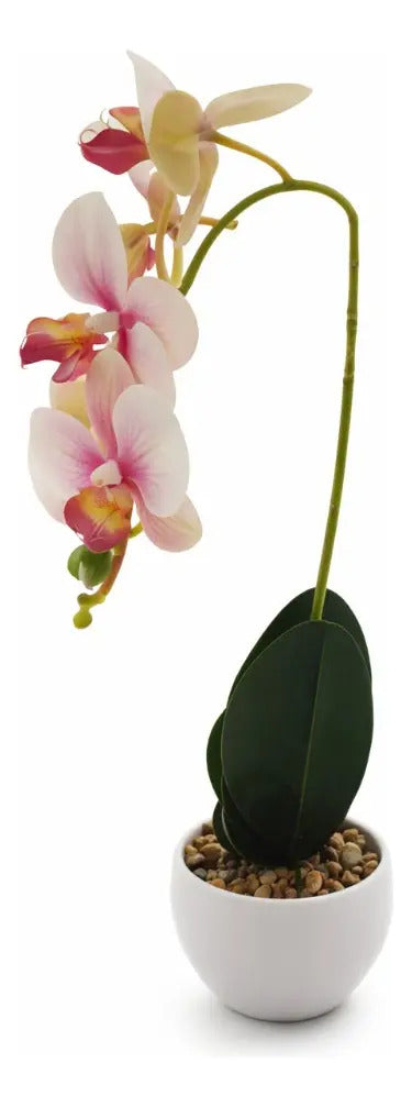 Orquídeas Phalaenopsis Artificiales Arreglo Minimalista 30cm