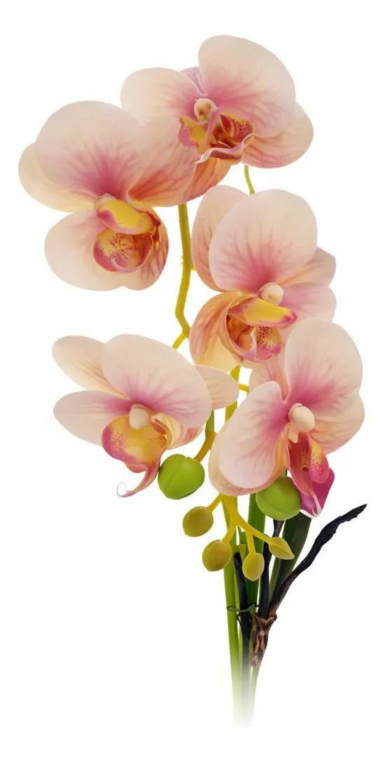 Orquídeas Phalaenopsis Artificiales Arreglo Minimalista 30cm