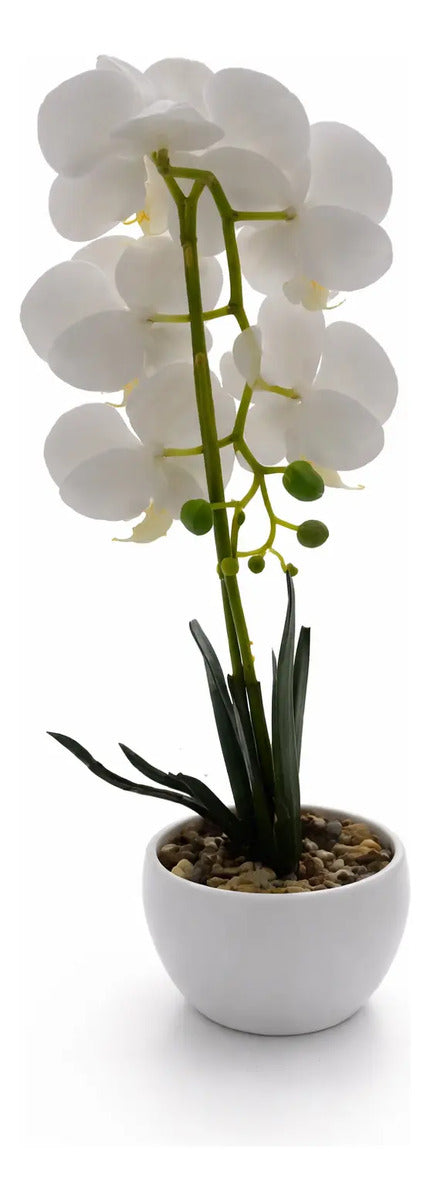 Orquídeas Phalaenopsis Artificiales Arreglo Minimalista 30cm