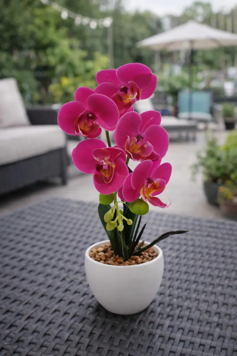 Orquídeas Phalaenopsis Artificiales Arreglo Minimalista 30cm