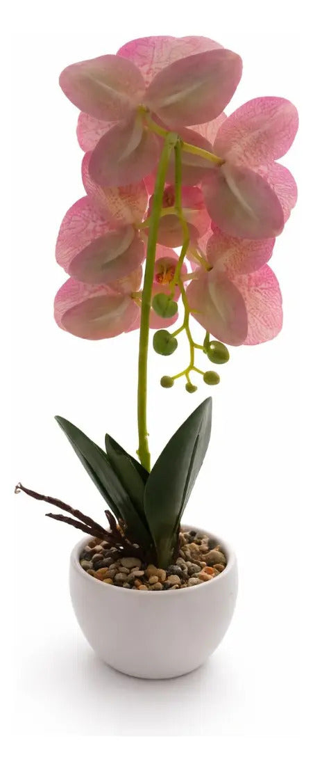 Orquídeas Phalaenopsis Artificiales Arreglo Minimalista 30cm