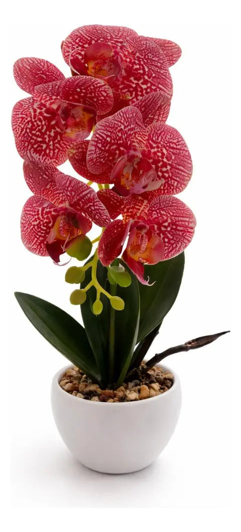 Orquídeas Phalaenopsis Artificiales Arreglo Minimalista 30cm