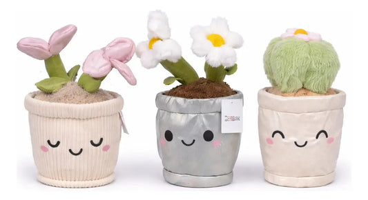 Peluche De Planta Lirio Margarita Y Cactus 28x15x15 Cm Candy