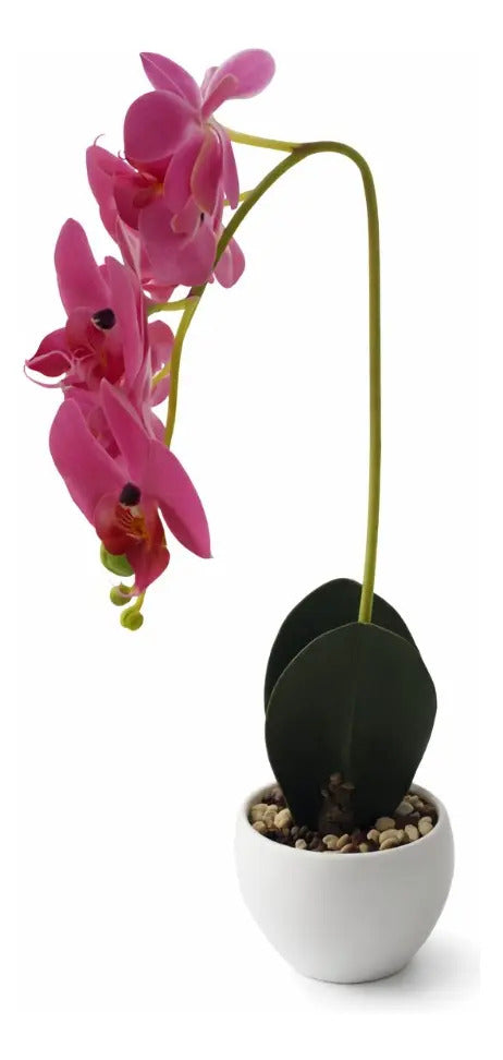 Orquídeas Phalaenopsis Artificiales Arreglo Minimalista 30cm