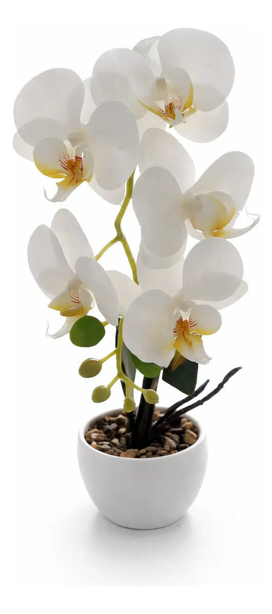 Orquídeas Phalaenopsis Artificiales Arreglo Minimalista 30cm