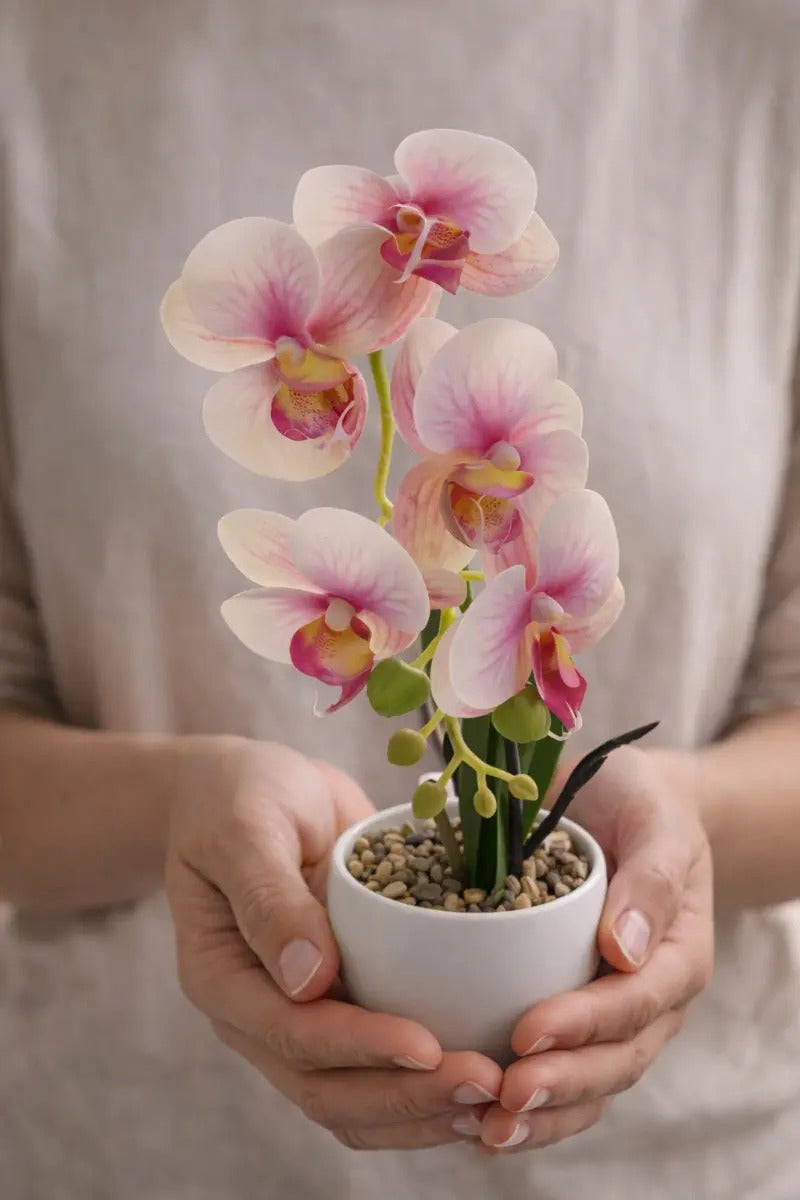 Orquídeas Phalaenopsis Artificiales Arreglo Minimalista 30cm