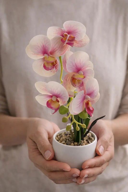 Orquídeas Phalaenopsis Artificiales Arreglo Minimalista 30cm