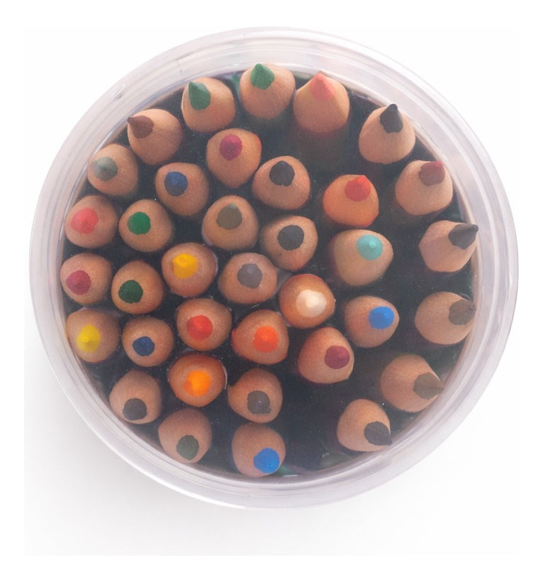 Colores Surimax 36 Piezas  Estuche Cilíndrico Protector